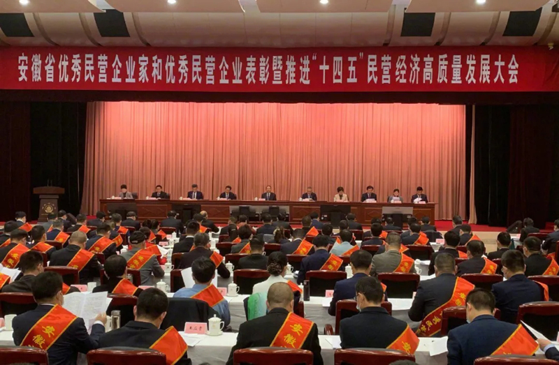 喜讯！拉斯维加斯9888科技总经理梁燕被授予“安徽省优秀民营企业家”称号